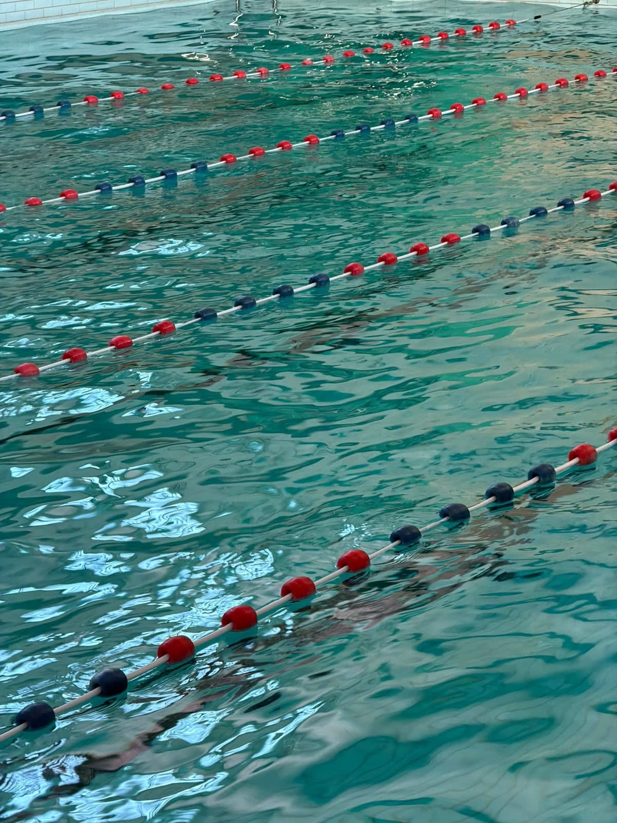 Swimming lane with lane ropes in the pool where HYTX gives swimming lessons in Antwerp