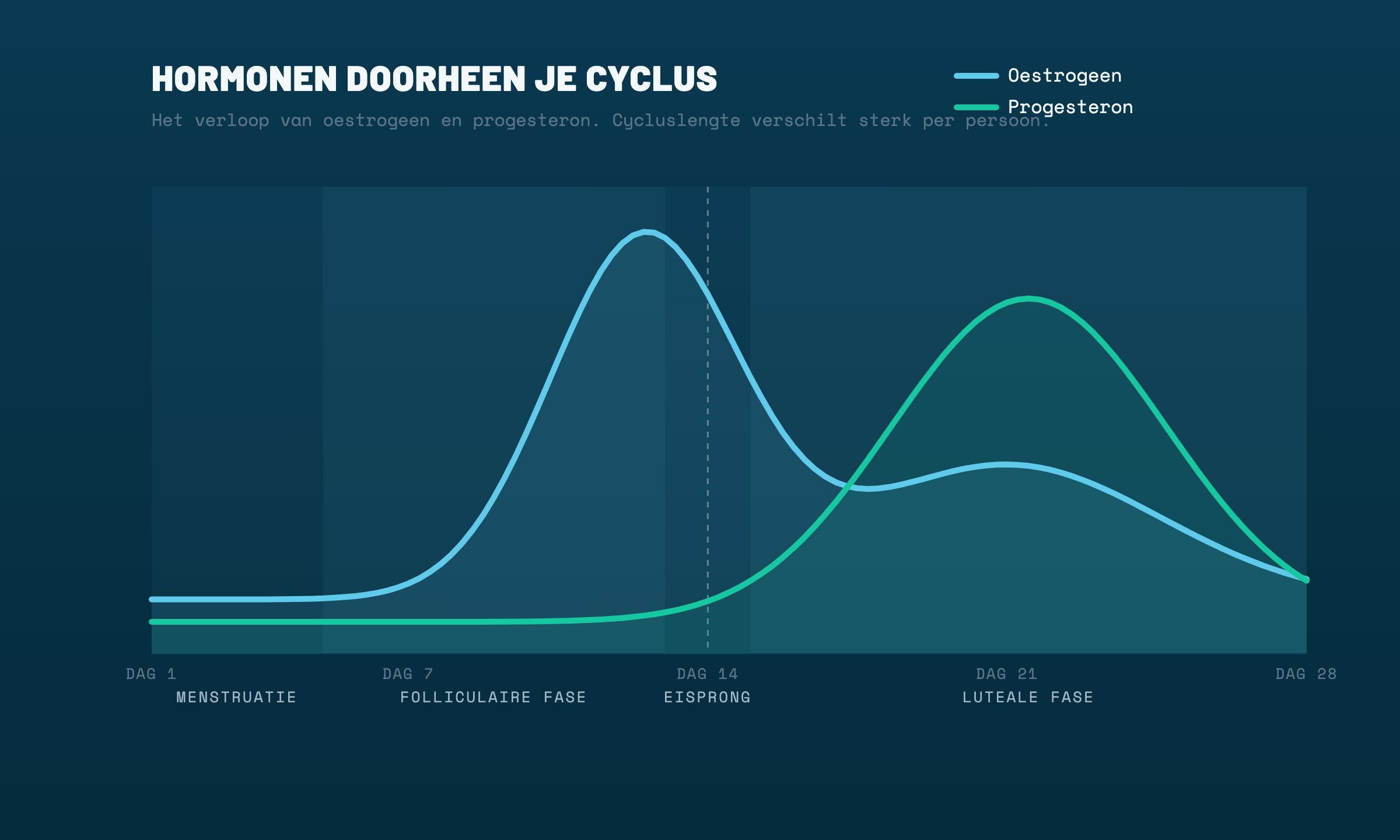 Het verloop van oestrogeen en progesteron doorheen de vier fasen van de menstruatiecyclus
